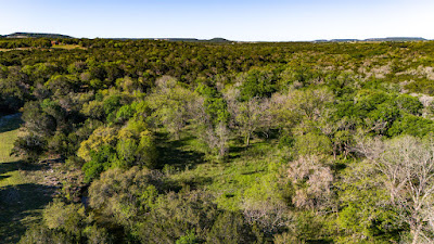 Settlement Branch Ranch photo 21