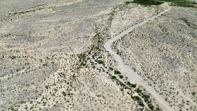 Seahorse Ranch photo 16