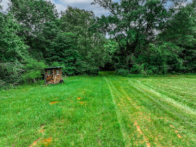 Whistle Stop Ranch photo 21