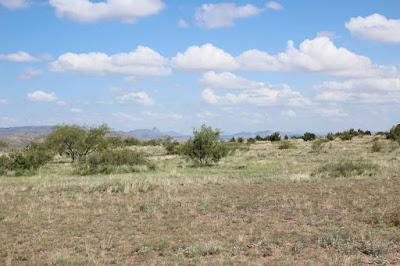 Tract 32, Sierra La Rana, Alpine, TX 79830 photo 4