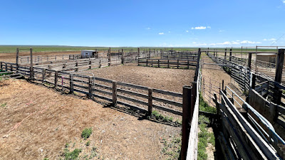 Oasis Farms photo 74
