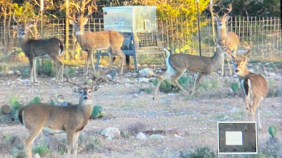 Lonesome Draw Ranch North photo 7