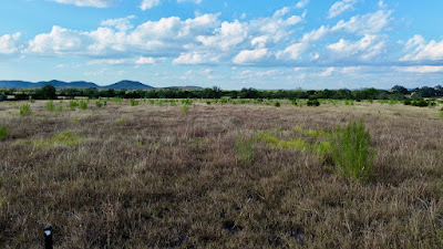 Winans Creek Lot 67 photo 11
