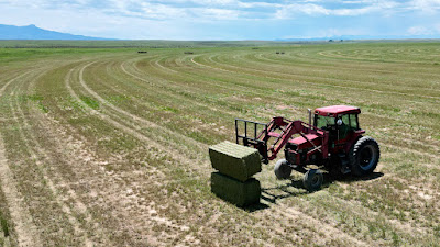 Oasis Farms photo 88