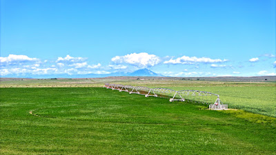 Oasis Farms photo 14