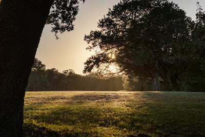 Blanco River Retreat photo 85