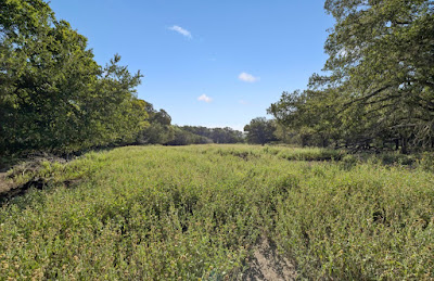 Heritage Springs Ranch photo 29