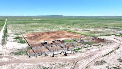 Oasis Farms photo 68
