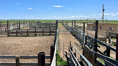 Oasis Farms photo 71