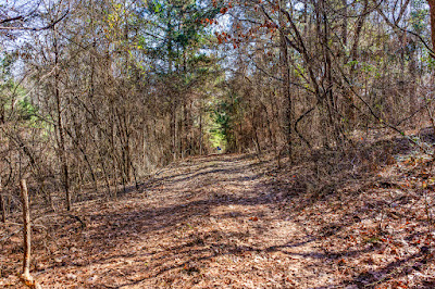1609 C R 246 S photo 38