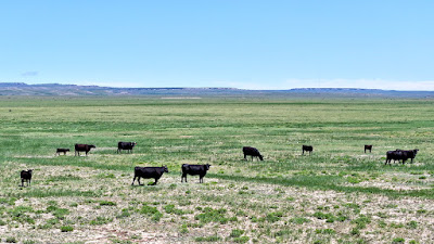 Oasis Farms photo 6