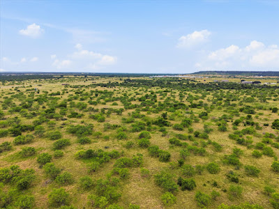 State Highway 16, Strawn, Texas photo 15