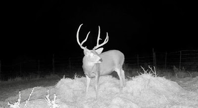 Cinco Valles Ranch photo 5