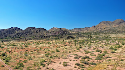 Lizard Mountain Ranch photo 23