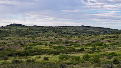 Tract 7, Sierra La Rana, Alpine, TX 79830 photo 9