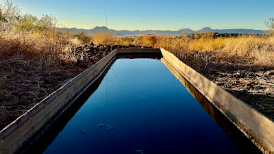Cinco Valles Ranch photo 33
