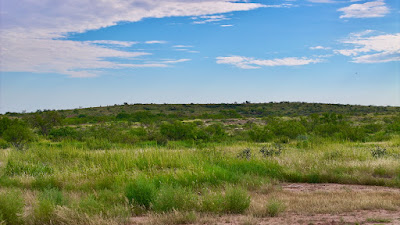 Tract 85, Sierra La Rana, Alpine, TX 79830 photo 7