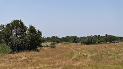 Lonesome Draw Ranch North photo 15