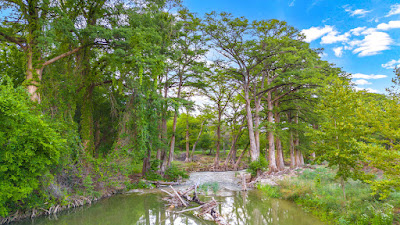 River Bend Ranch photo 3