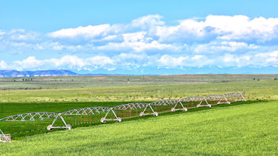 Oasis Farms photo 12