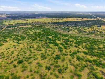 TBD State Hwy 16 Strawn, Texas photo 14