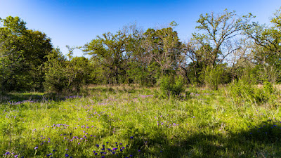 Settlement Branch Ranch photo 52
