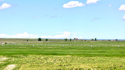 Oasis Farms photo 20