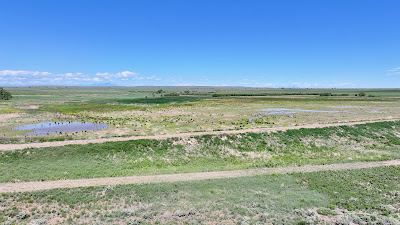Oasis Farms photo 55