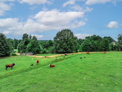 Whistle Stop Ranch photo 43