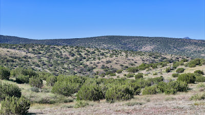 Tract 111, Sierra La Rana, Alpine, TX 79830 photo 4