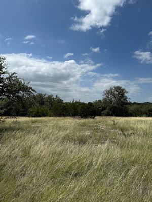 Loma Vista Ranchette photo 2