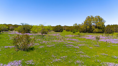 Oakalla Hills Ranch photo 47