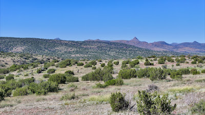 Tract 111, Sierra La Rana, Alpine, TX 79830 photo 5