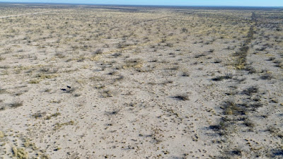40 Acres Imperial, TX photo 3