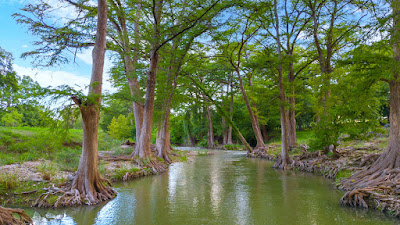 River Bend Ranch photo 2