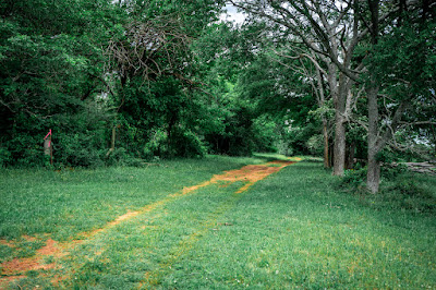 Whistle Stop Ranch photo 107