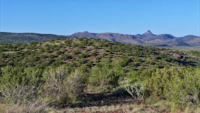 Tract 57R, Sierra La Rana, Alpine, TX 79830 photo 6
