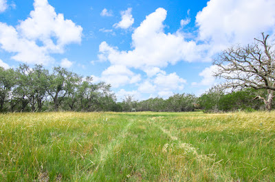Rancho de Cacería photo 30