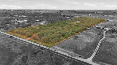 812 County Road 415 photo 2