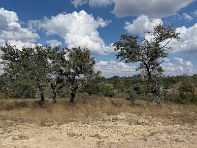 Winans Creek Lot 73 photo 9