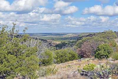 Sutton Ranch