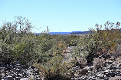23031 FM 170 photo 21