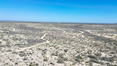 Wolf Springs Ranch photo 9