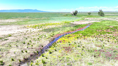 Oasis Farms photo 59