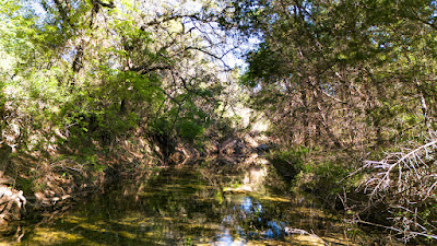 Settlement Branch Ranch photo 39