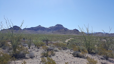 Terlingua Ranch track 38 gate 2 photo 3