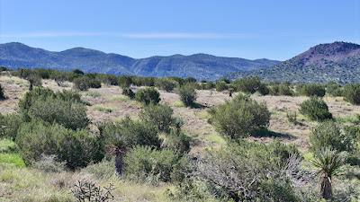 Tract 111, Sierra La Rana, Alpine, TX 79830 photo 7