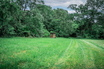 Whistle Stop Ranch photo 97