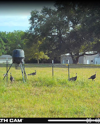 The Kennedy Ranch photo 18