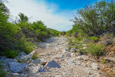 Dos Lobo Ranch photo 17